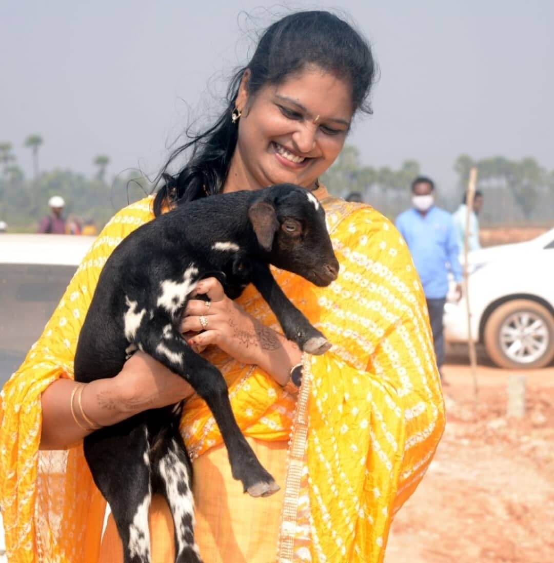 sharmila reddy rajahmundry, family, images, photos, husband, affairs, hot, pics, videos, saree