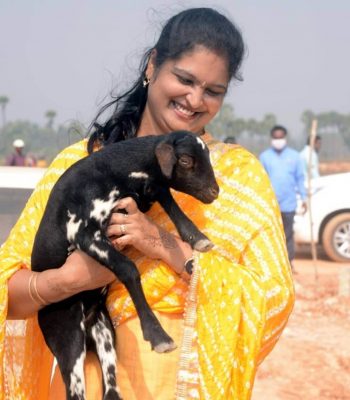 sharmila reddy rajahmundry, family, images, photos, husband, affairs, hot, pics, videos, saree