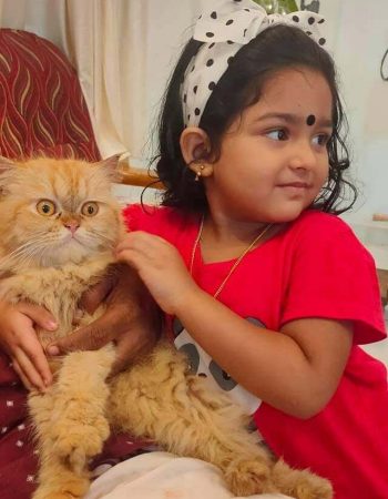 baby ameya child artist, uppum mulakum, age, family, photos, images, youtube, instagram